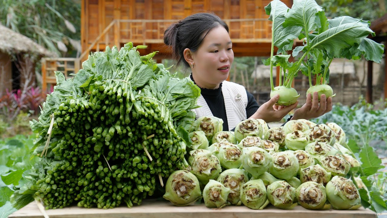 Harvesting Kohlrabi and other homegrown vegetables to sell at the market | Rural life in Vietnam