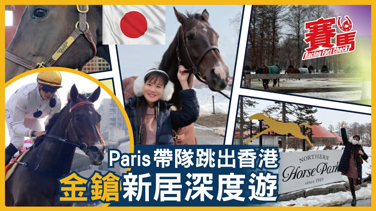 競馬Paris首間香港媒體到北海道探金鎗六十  聽到中文即豎起耳仔！HKJC三屆馬王上年退役去日本頤養天年 眼仔碌碌精神奕奕 介紹北方牧場有咩好玩！CC中文字幕#賽馬FactCheck