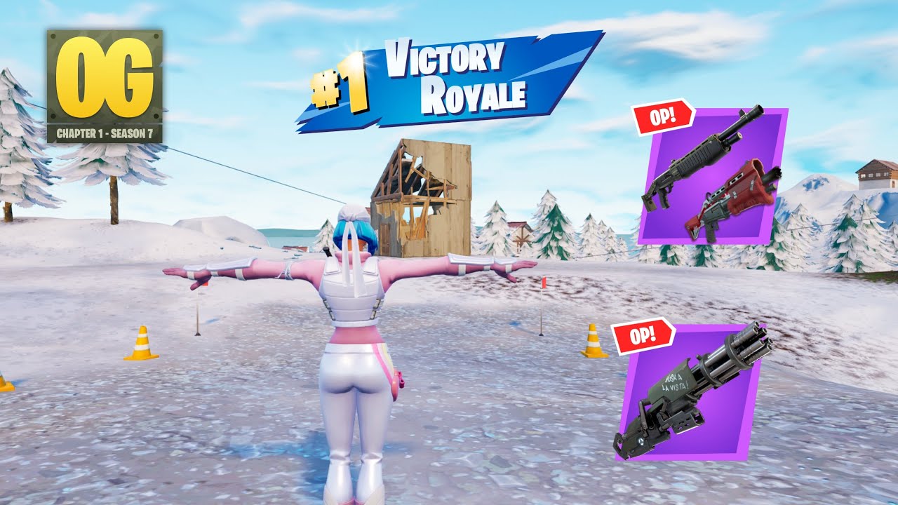 24 Kill Fortnite Solos 