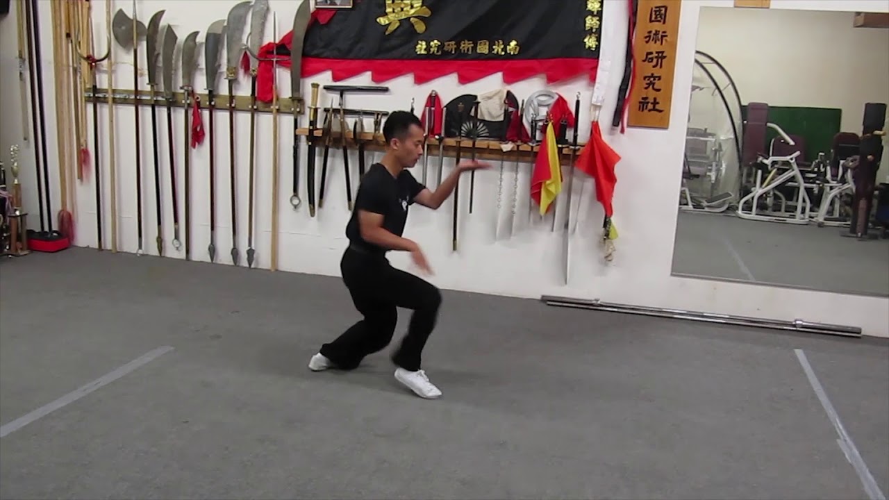 Hung Gar - BlackTiger 周漢興洪拳 黑虎拳