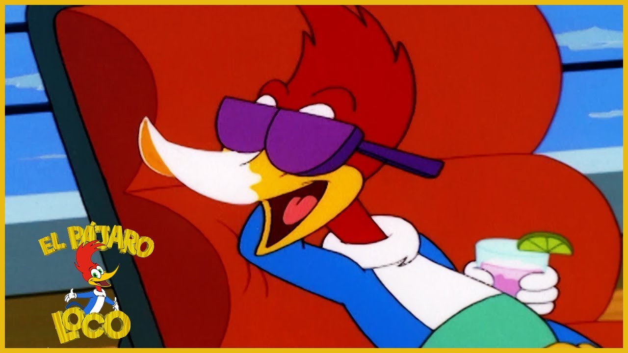 El Pájaro Loco en Español | De tal Padre, no es tal Hijo | Dibujos Animados en Español