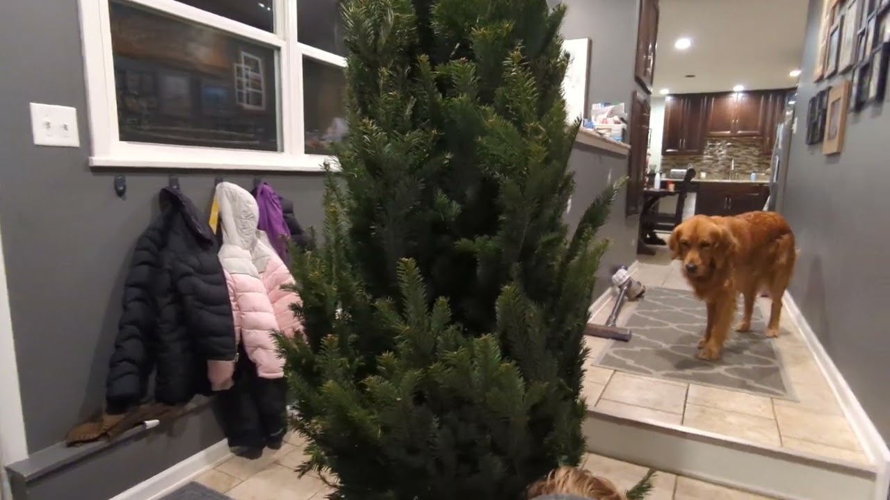 Christmas Tree Stand Adjustment Hack
