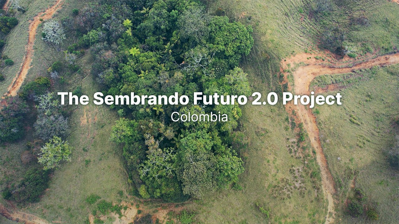 Reviving Colombia's Native Forests: A Biodiversity Restoration Partnership | Terraformation Projects