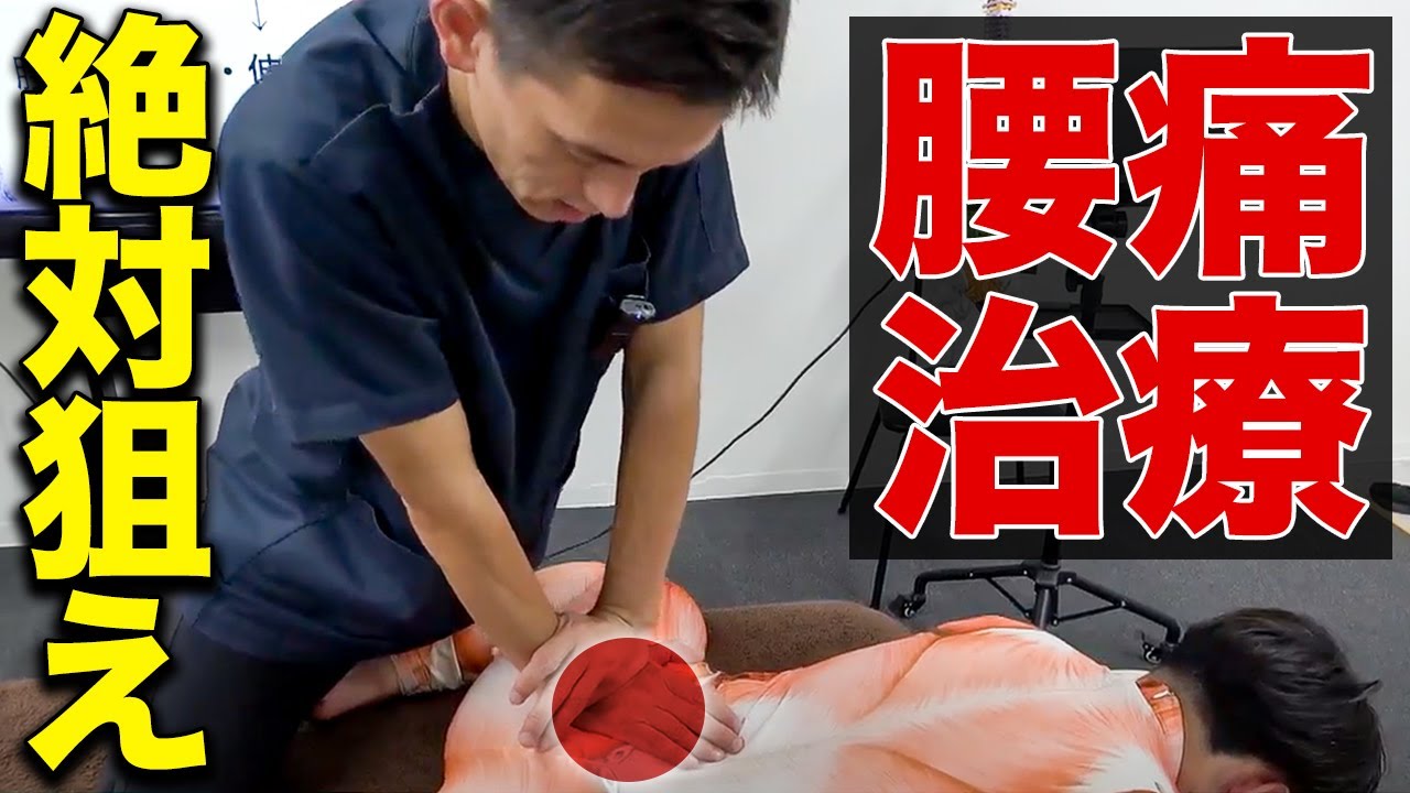 【すべて見せます】「腰痛」の仕組みからアプローチまで全公開！