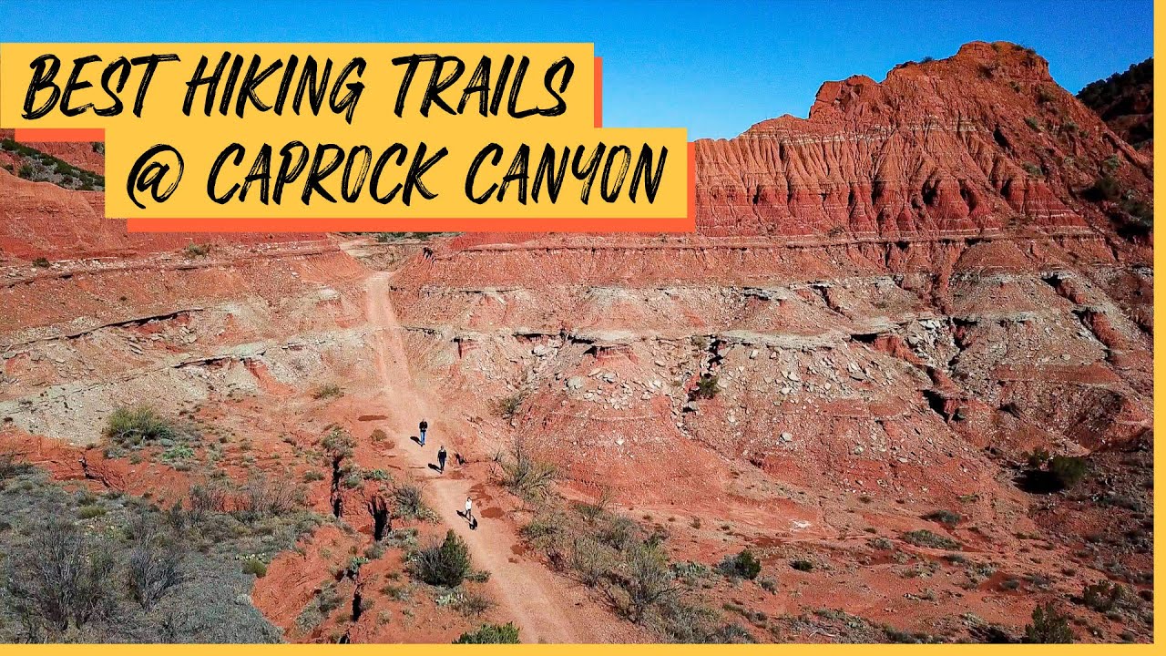 Caprock Canyons State Park | Texas State Parks | Wild Bison Herds and Gorgeous Canyon Hiking Trails