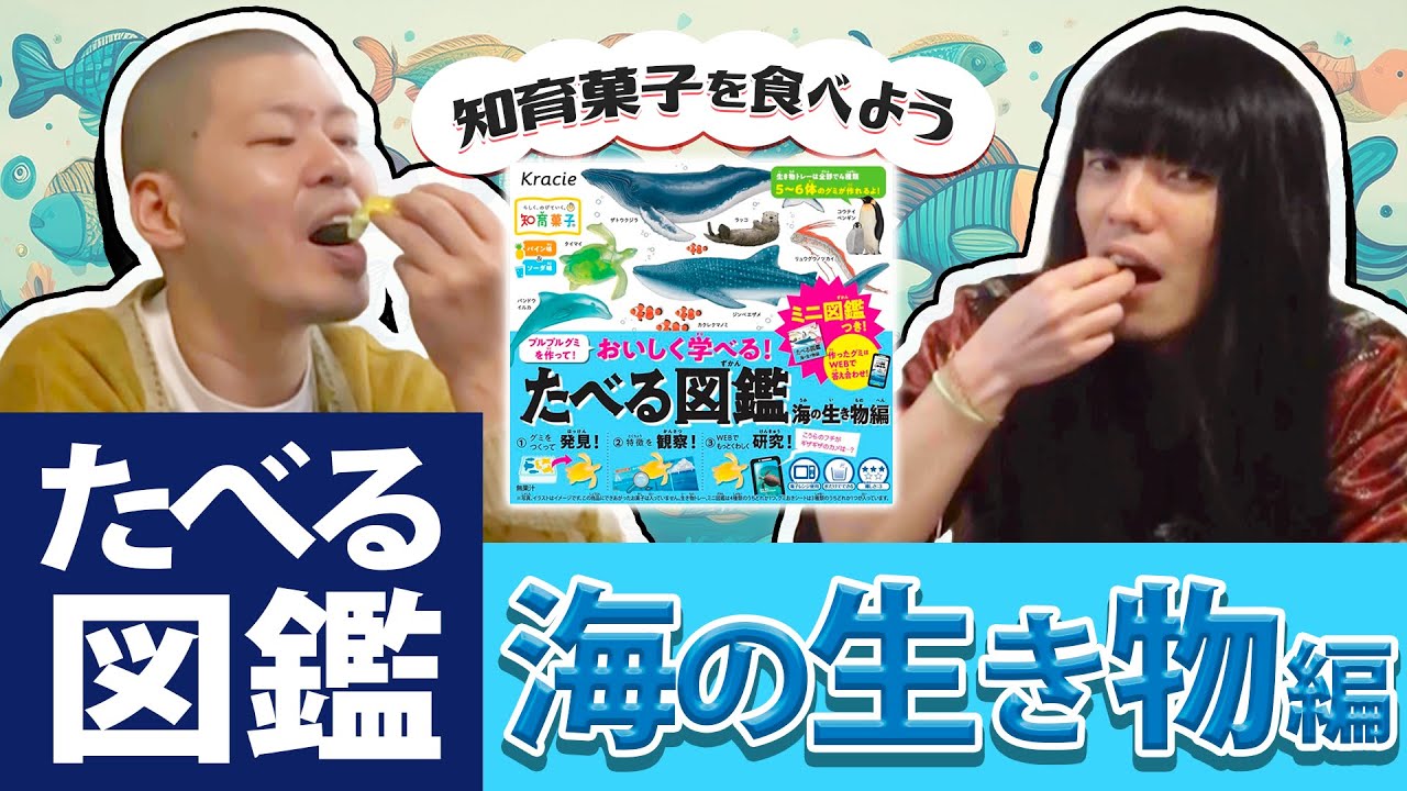 ラッコ＆ウミガメを食べる【金属バットの知育菓子シリーズ】