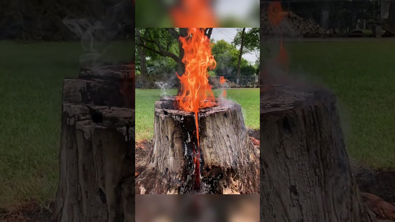 Сжигание пня🔥Поймано пожарными‼️