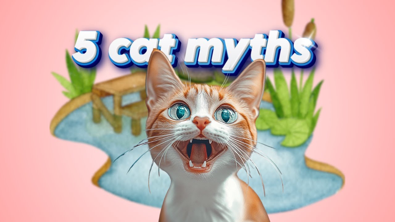5 Cat Myths You Still Believe&hellip; And They&rsquo;re Totally Wrong! 😼