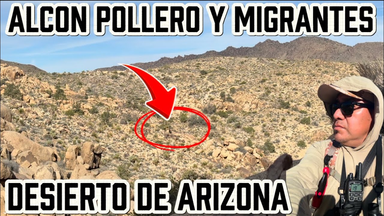 Alcon pollero y migrantes en el desierto de Arizona 