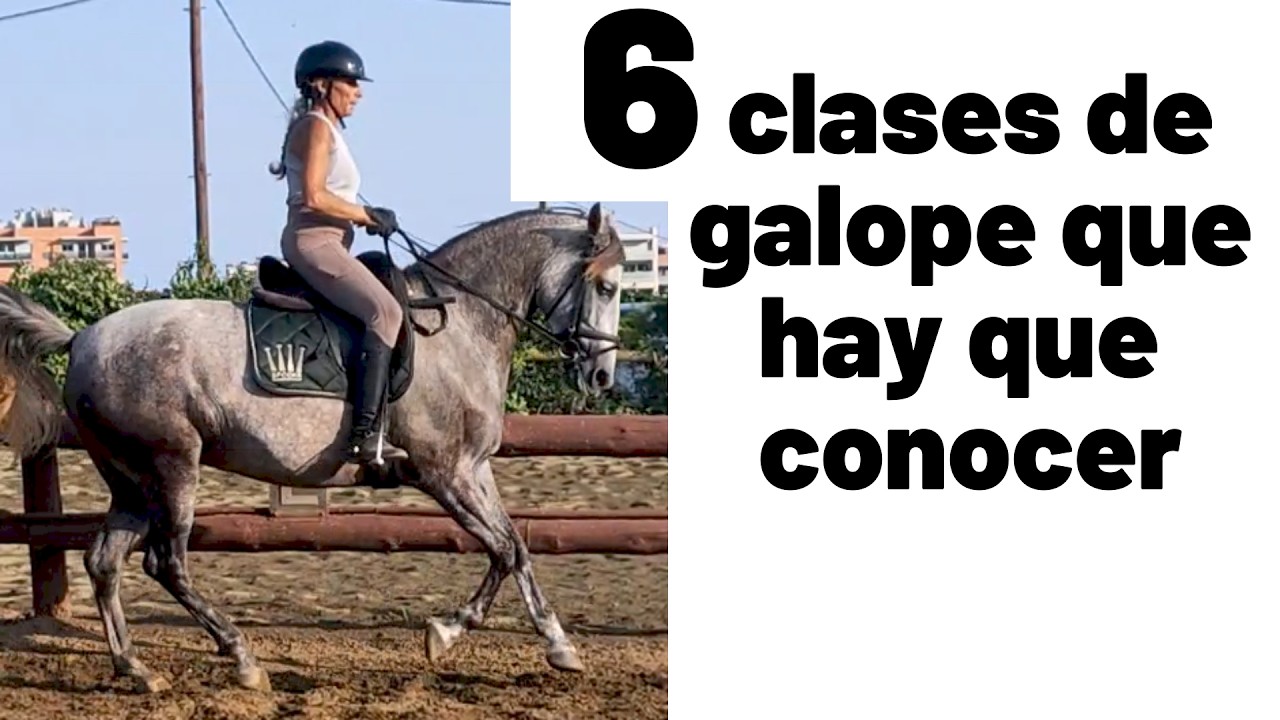 Galopes que hay que saber diferenciar por el bien de tu caballo