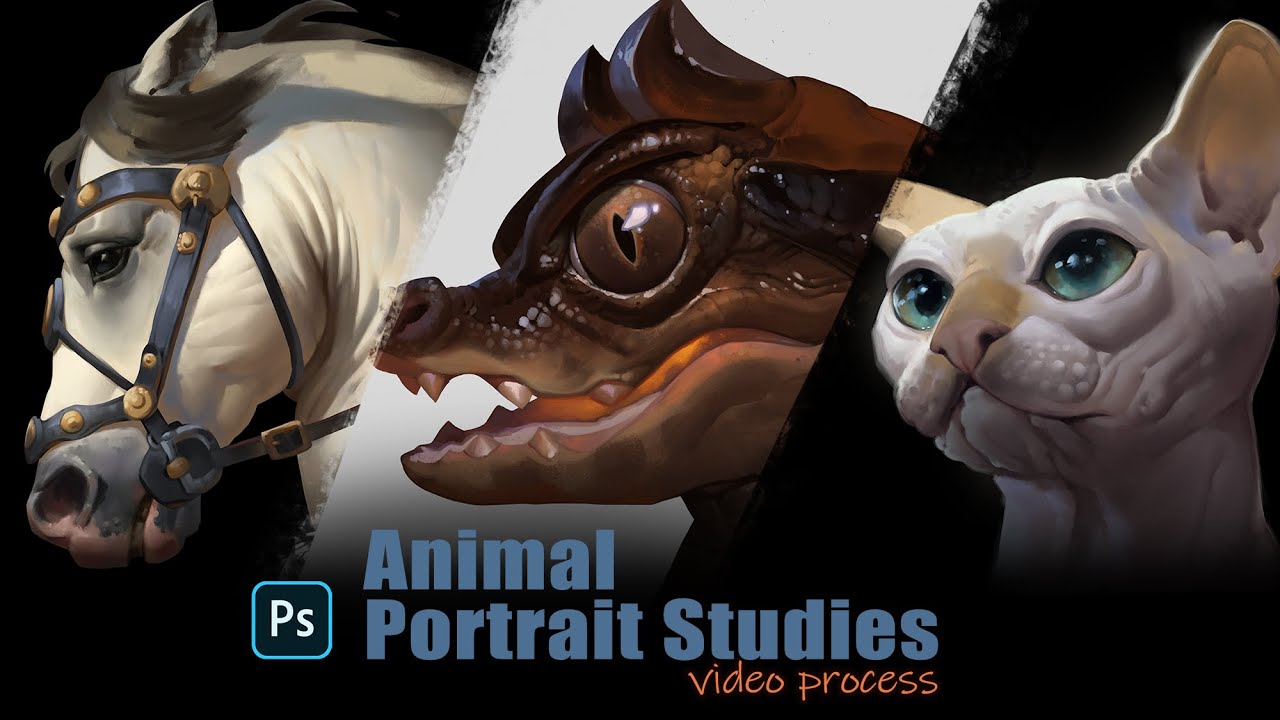 Croco Study - MILICRAFT