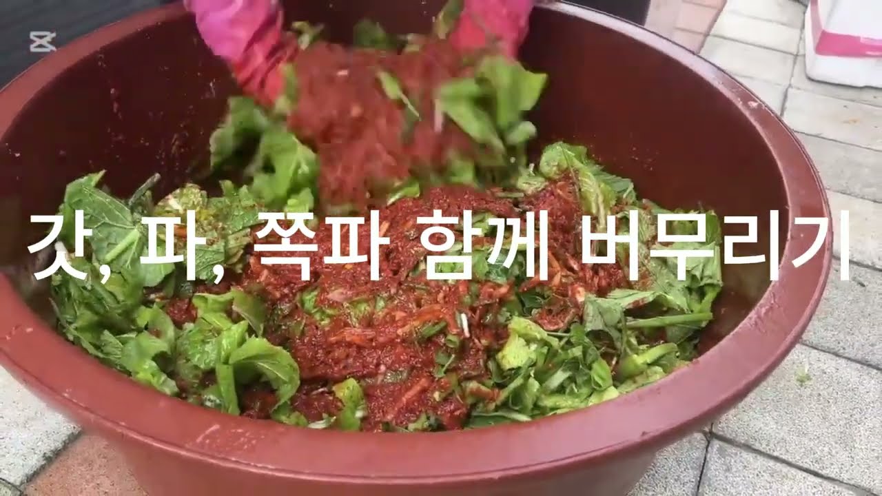 직접 키운 배추로 김장 담갔습니다(파일럿의 지구생활) #시골라이프  #김장담그기 #배추수확 #겨울준비 #귀촌생활