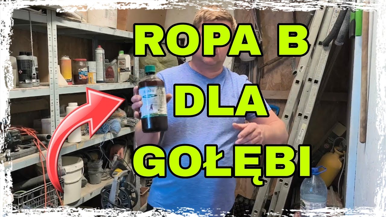 Ropa B, zioła i minerały dla gołębi 