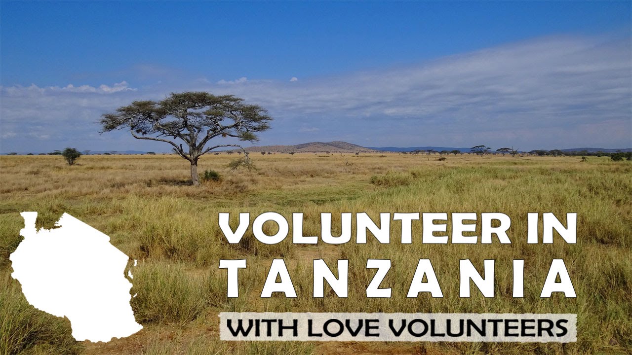 Volunteer in Tanzania with Love Volunteers!