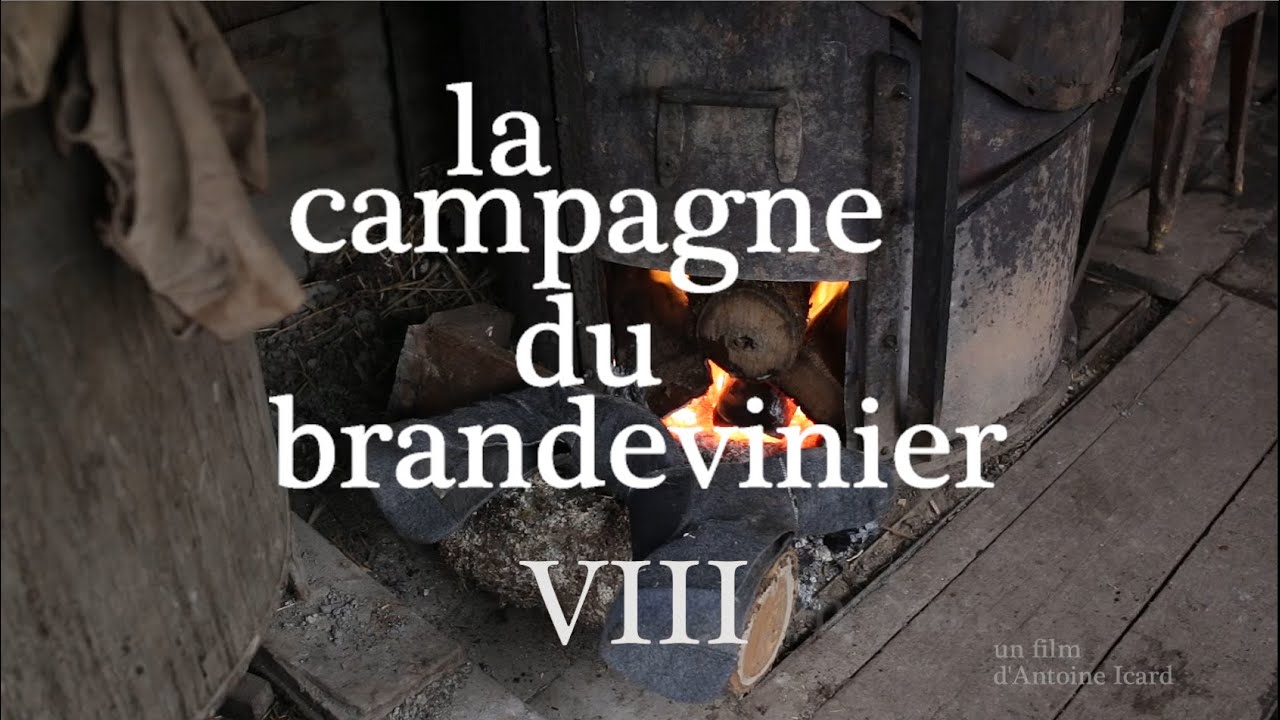 La campagne du Brandevinier - 08/14 On part