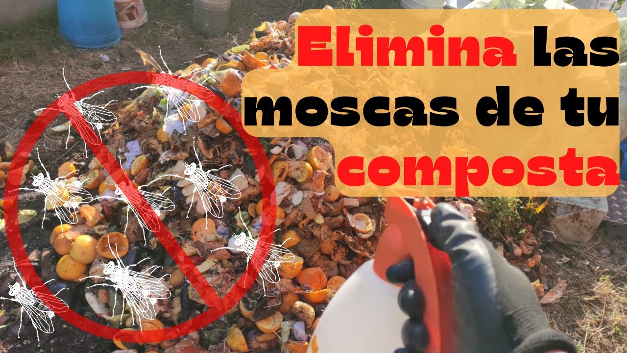 Como ELIMINAR las Moscas DE la Composta Y NUNCA MAS TENERLAS!