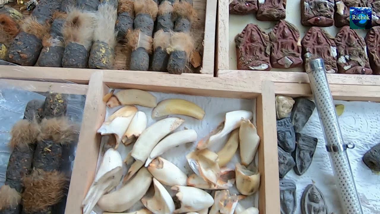 เดินหาของแปลกในตลาดพระที่ใหญ่สุดในไทย ตลาดพระในองค์พระปฐมเจดีย์ จังหวัดนครปฐม : Amulet market