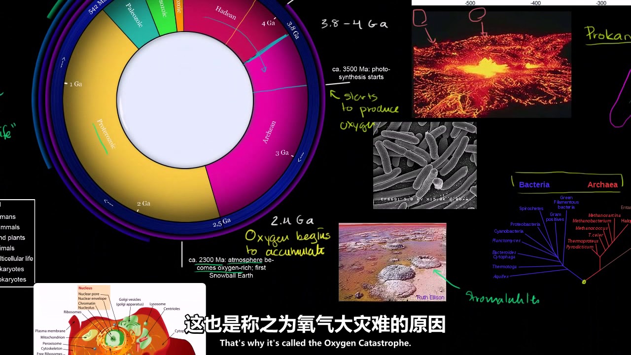 65 显生宙时期出现的臭氧层和真核生物 宇宙学和天文学 可汗学院