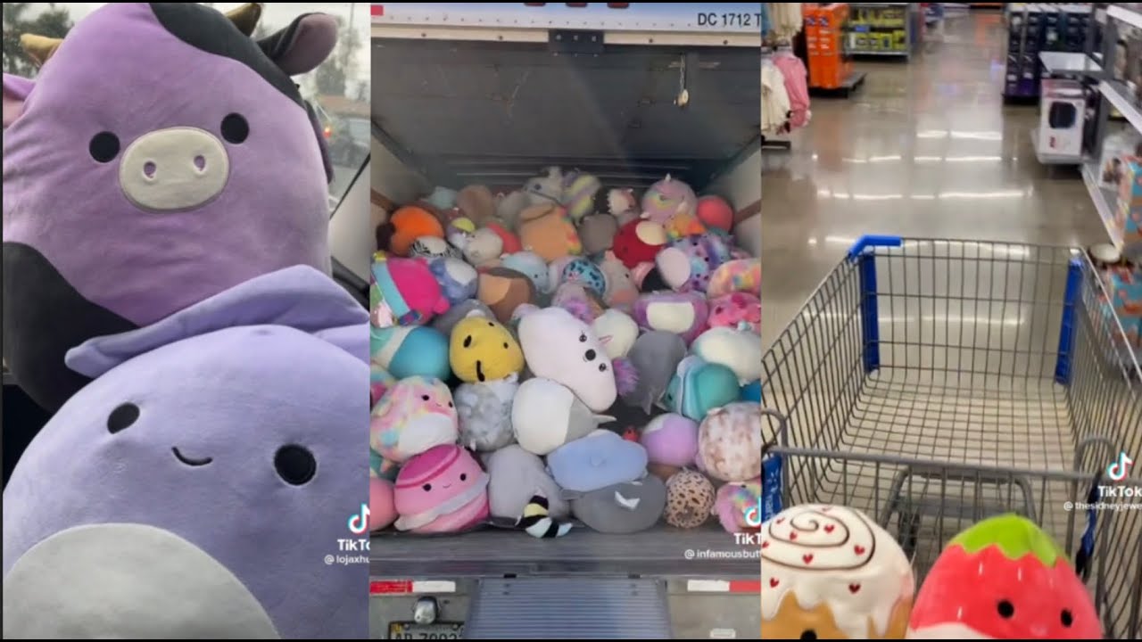 squishtoks that made every squishdoo find a loving home 🥹✨