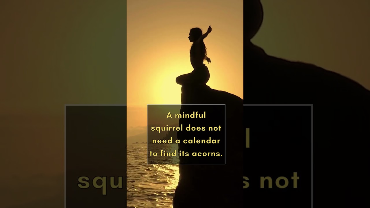 🐿️ squirrel wisdom #shorts