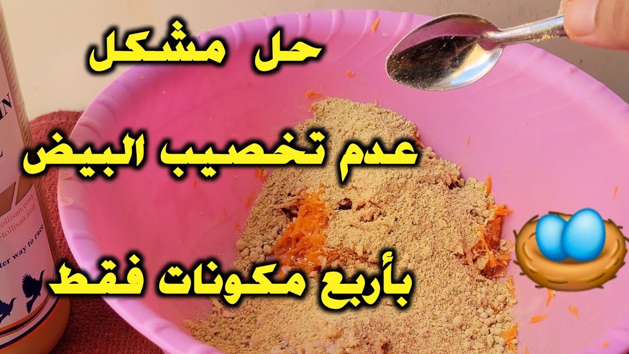 طيور الحب (اربع مكونات ضرورية لزيادة نسبة تخصيب البيض)