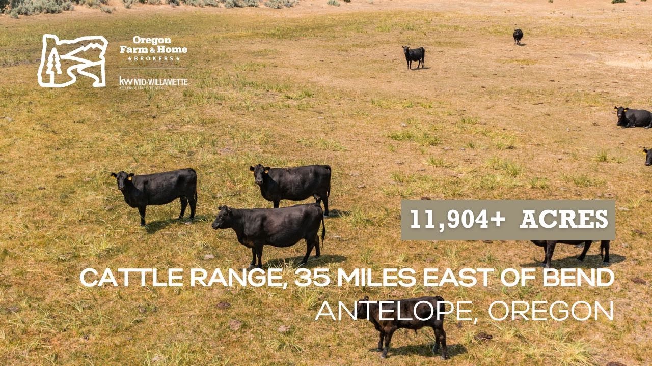1 Bennett Road | 12,000 Acre Oregon Ranch