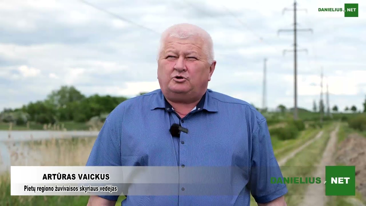 Simno žuvivaisos padalinyje gulbes gelbės atšvaitai