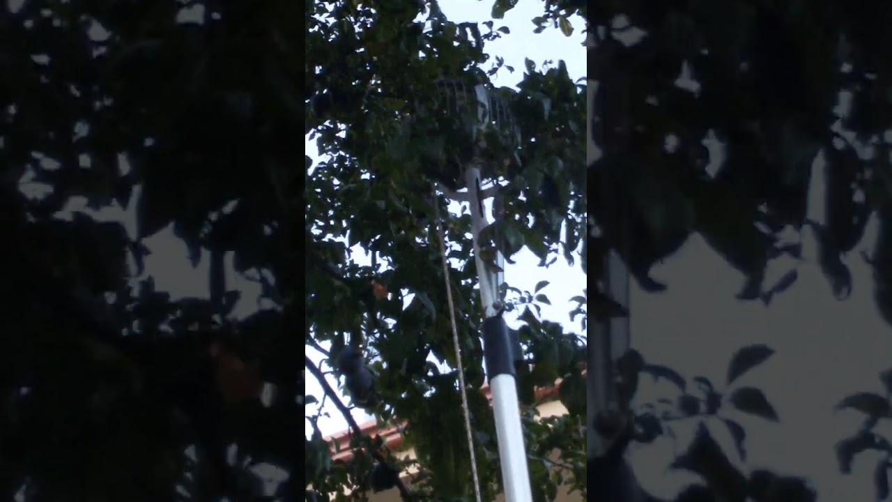 Raccoglitore frutta ideato  da nonno  Mario