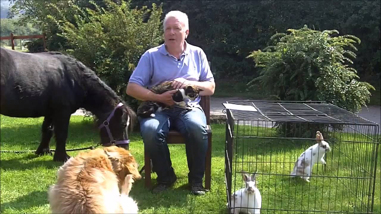 Reiki Animal Healer Home Study Course