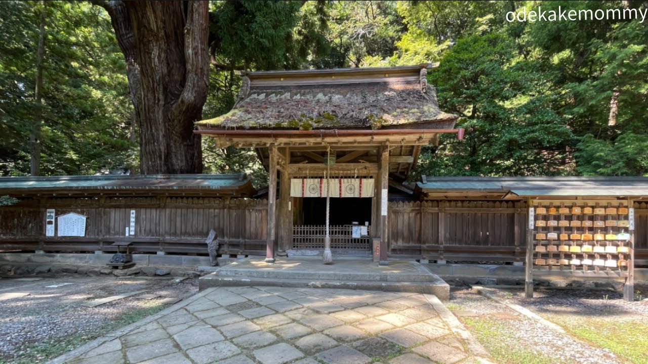 【注文の多い神社2025】若狭彦神社・若狭姫神社