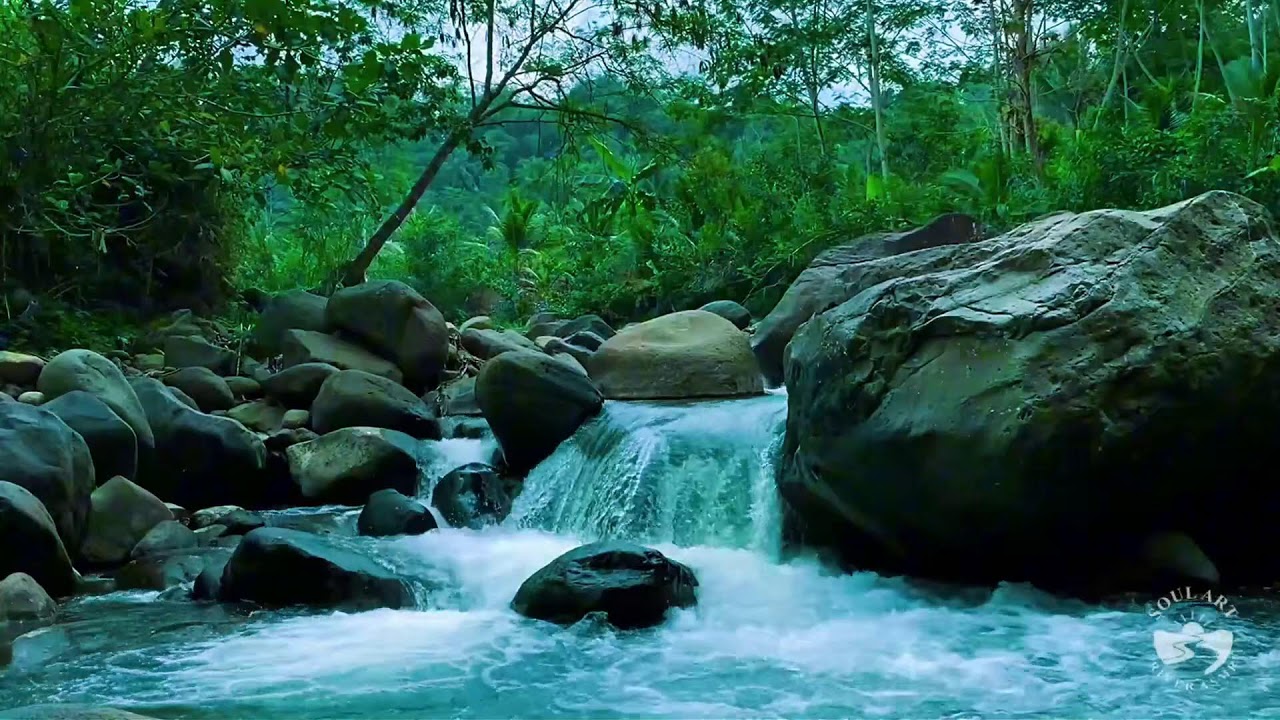 River Sounds for Sleeping, Soothing Forest Stream Ambience for Sleep and Meditation #river 3