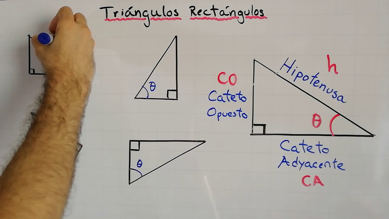 Lados de un Tri&aacute;ngulo Rect&aacute;ngulo | Hipotenusa, Cateto Opuesto y Adyacente | Razones trigonom&eacute;tricas