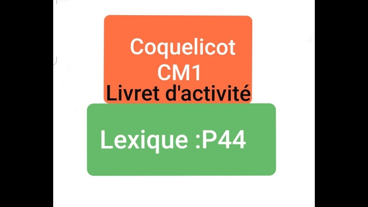 Livret d'activité/unité 5 : Lexique *Les préfixes* page 44