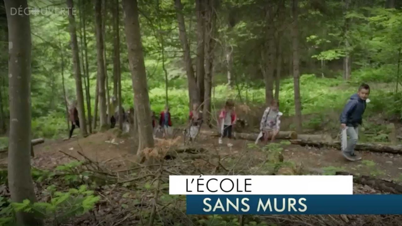 Découverte | Faire l'école à l'extérieur