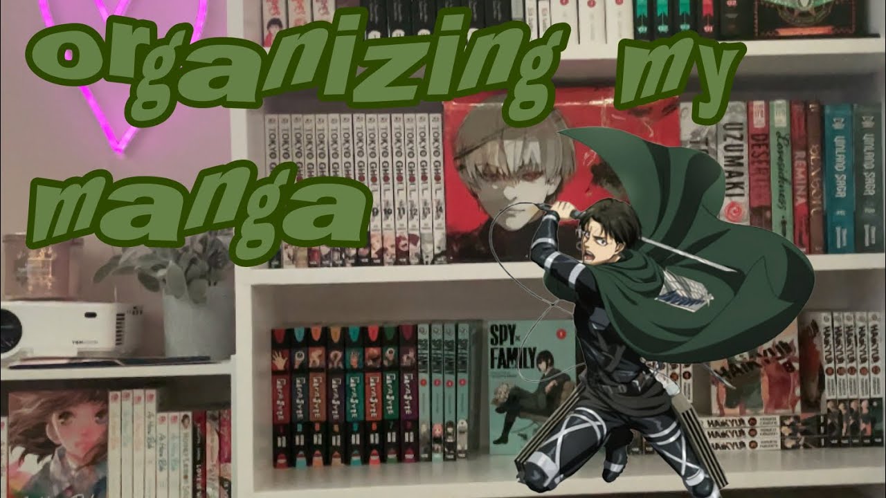 Organizing my 300+ Vol. Manga Collection! ⎮ 049
