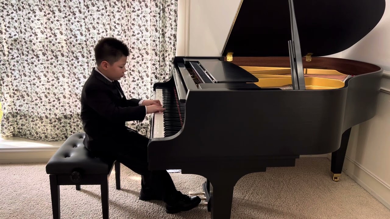 2025 Classical Viennese Festival International - Brian Li (Silver medalist)