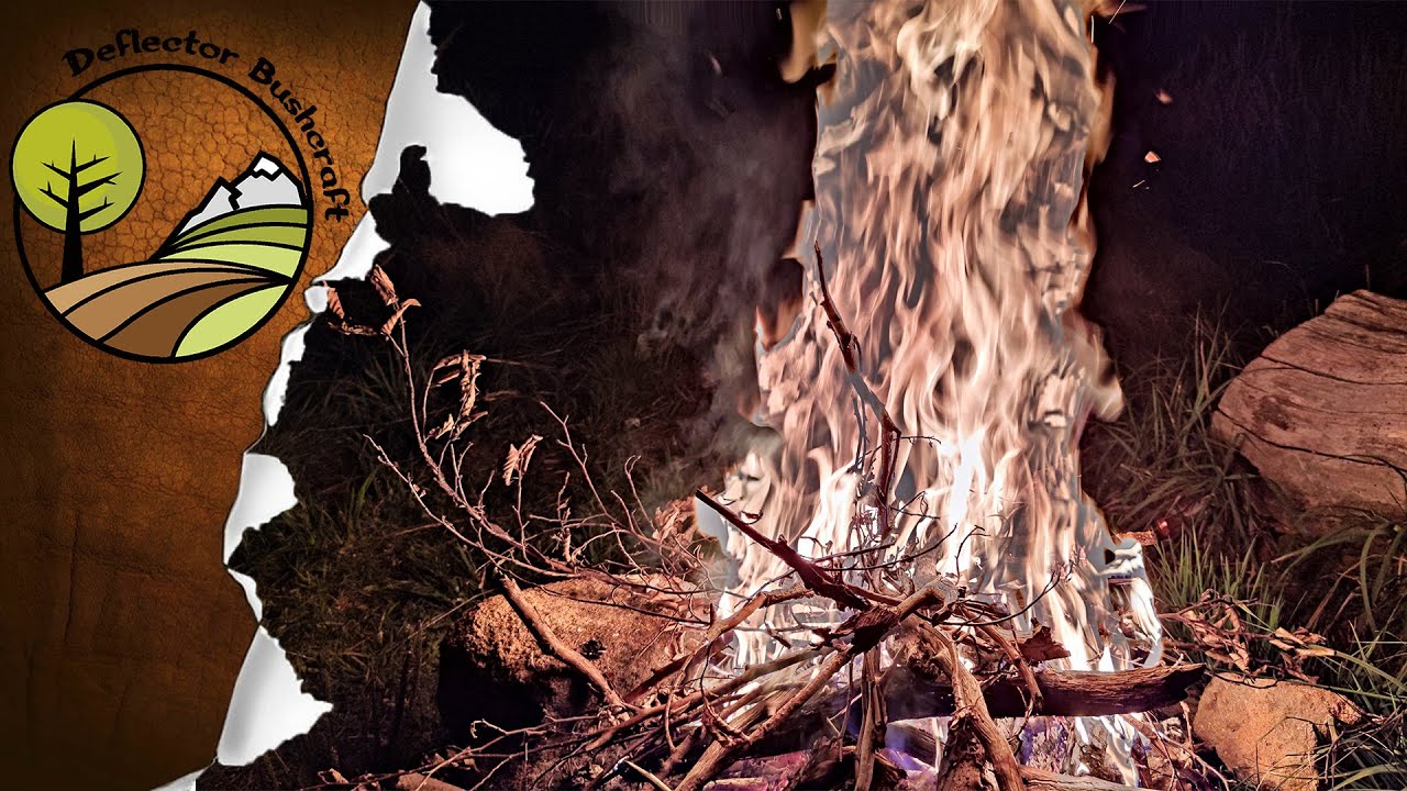 Reakce na Krakena ➠ Oheň v lese 🔥