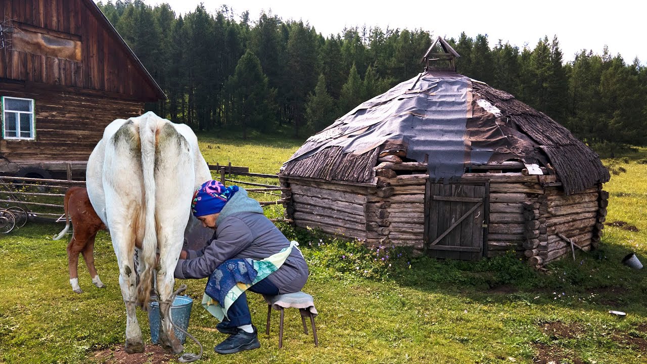 АЛТАЙ Деревенская жизнь. Старый уклад жизни в Алтайской деревне. Россия