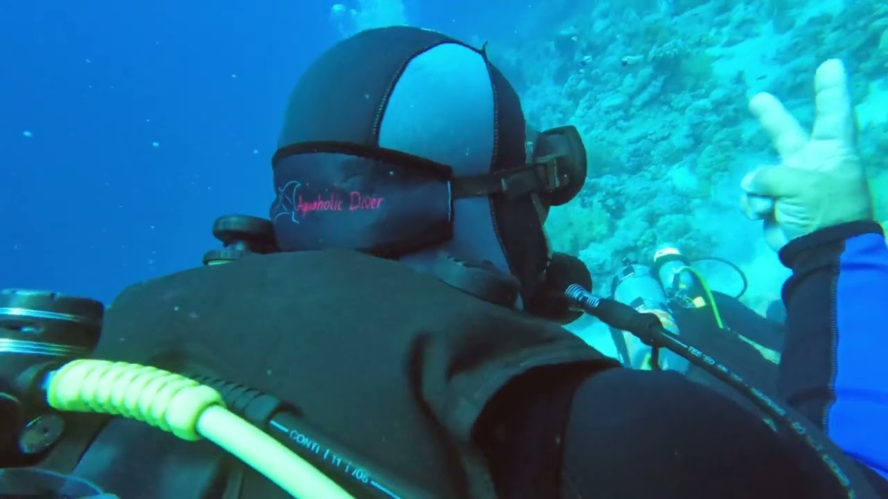 5.24.22 Dive #1 Thomas Reef - SCUBA Egypt 🇪🇬