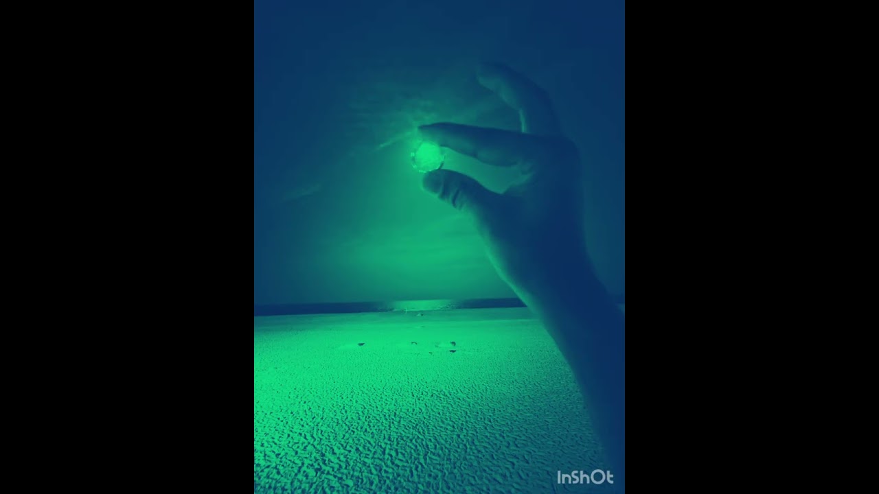 #mahabalipurambeach