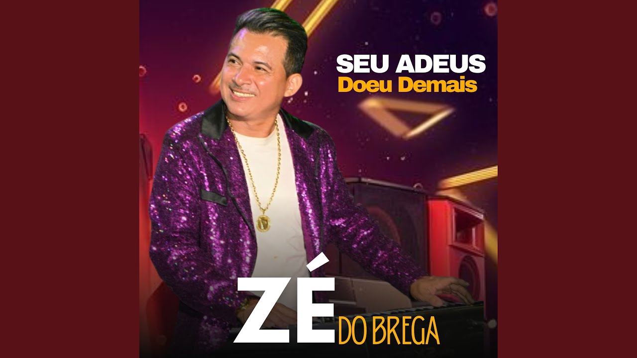 Seu Adeus Doeu Demais