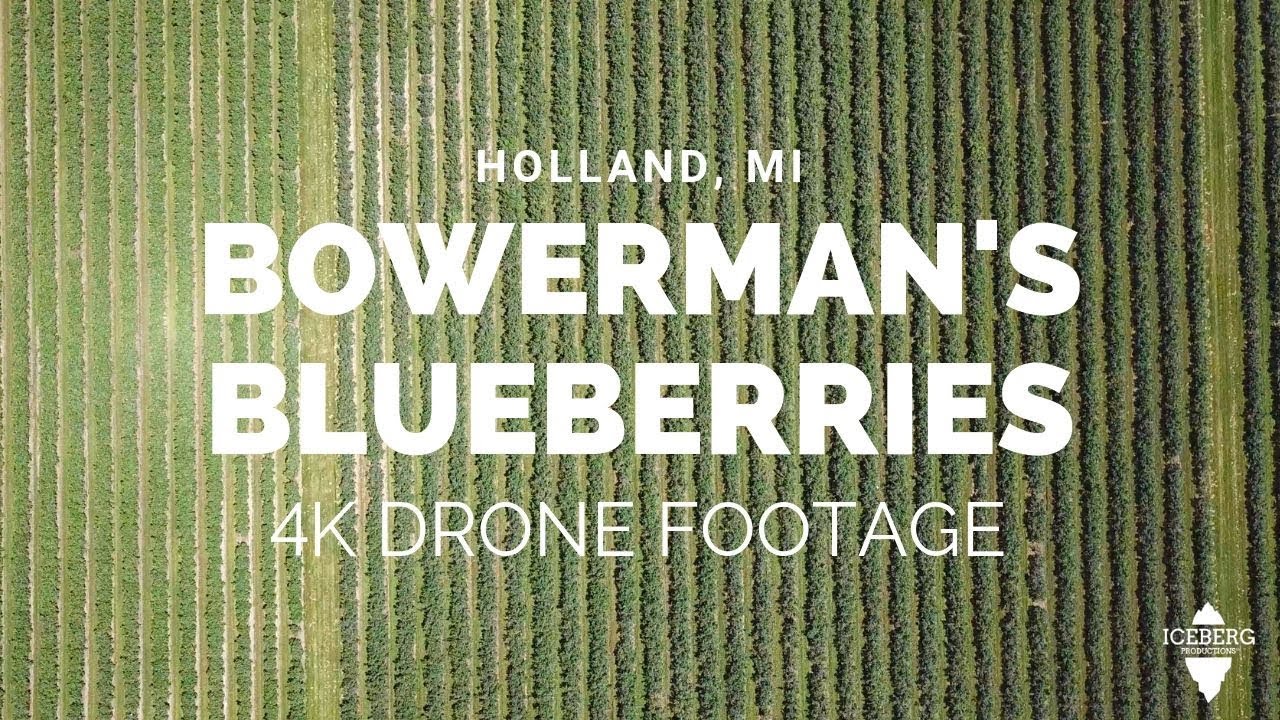Bowerman's Blueberries Drone Footage