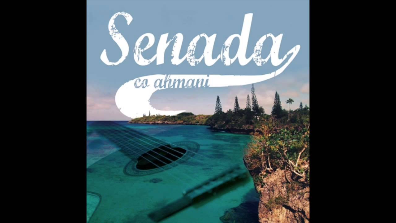 SENADA 2014.