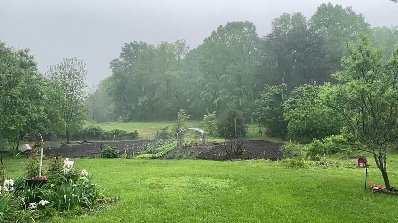 No Drought on PawPaw Mountain