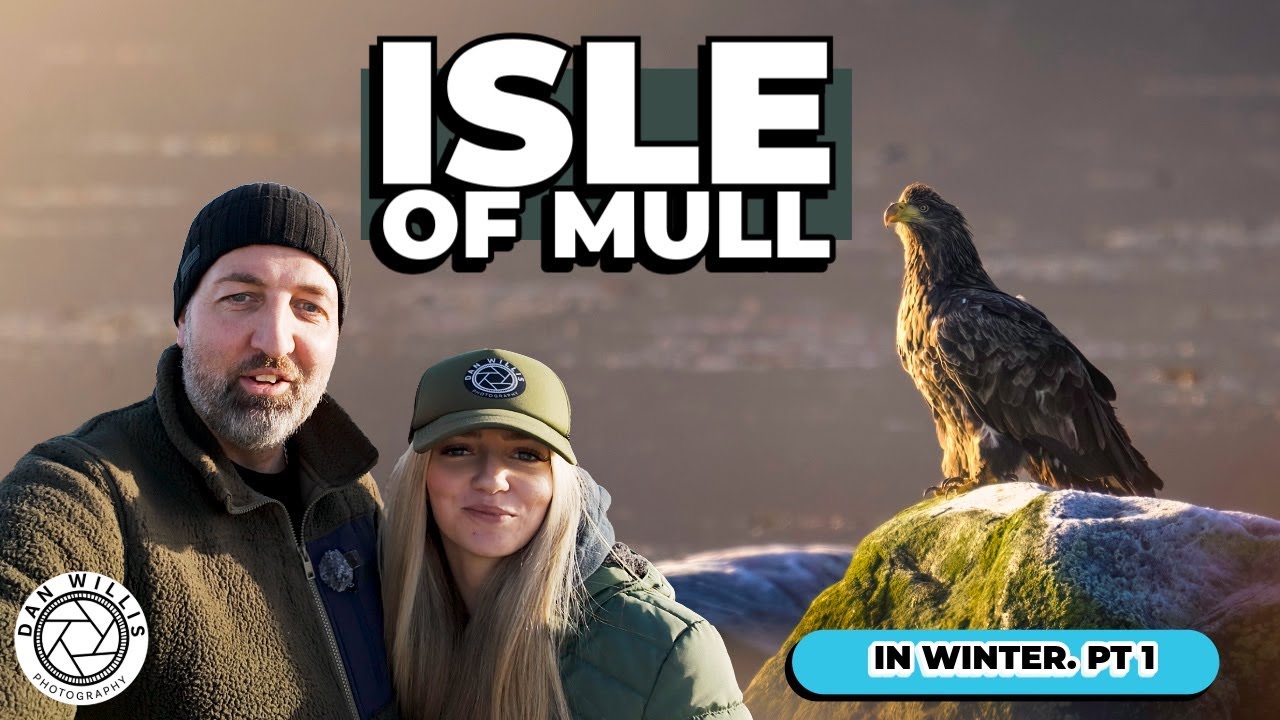 Wildlife Photography on the Isle of mull in winter!