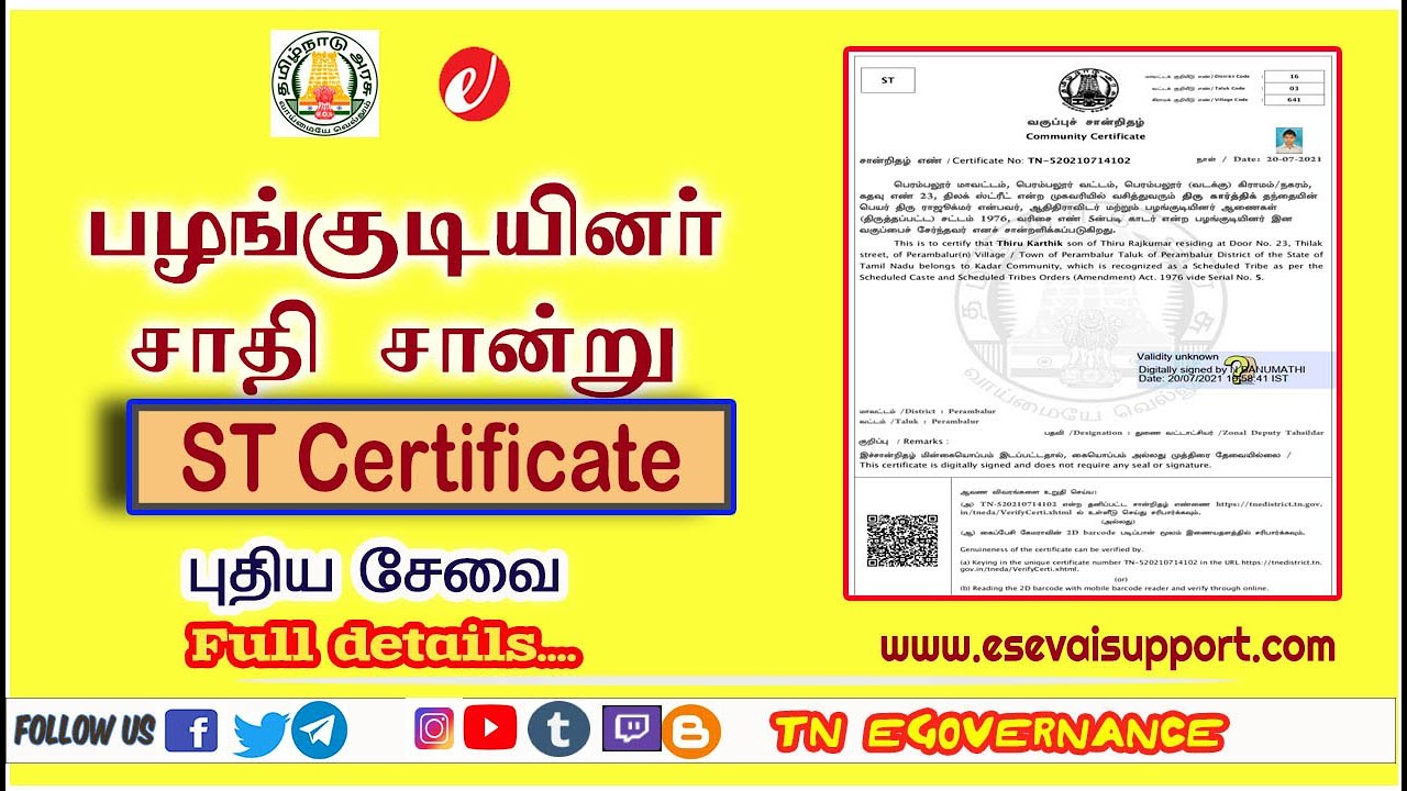 ST Certificate | Apply Online | பழங்குடியினர் சாதி சான்று | Tamil Nadu | eSevai support |  TNeGA CSC