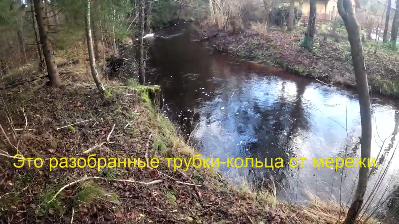 Маленькая речка и маленькие пятнышки.