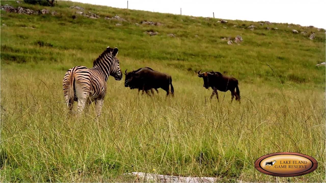 Lake Eland Game Reserve