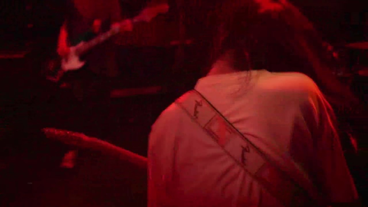 zoo『2019』live