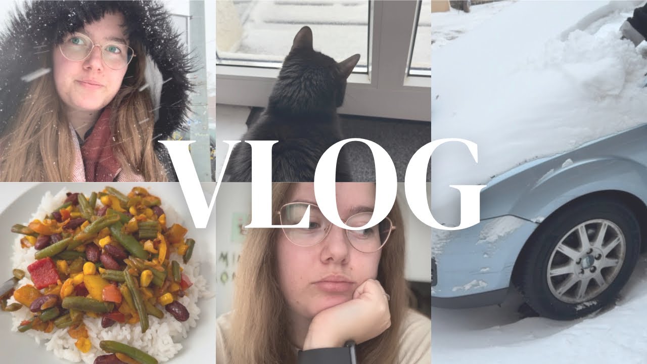Wir mussten da DURCH… ❄️ Schneesturm & Chaos | Vlog 